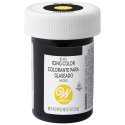 Wilton Icing Colour Black 1oz | Icing Colours Party Supplies
