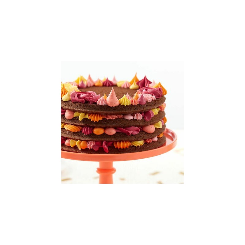 Wilton 4 Layer Cake Pan Set | Bakeware