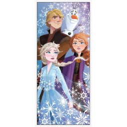 Frozen 2 Door Banner | Frozen 2 Party Supplies