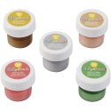 Wilton Edible Metallic Cake Paint (Set of 5) | Wilton Party Supplies