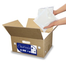 Ice Pack for Transportation | Lollies Party Supplies