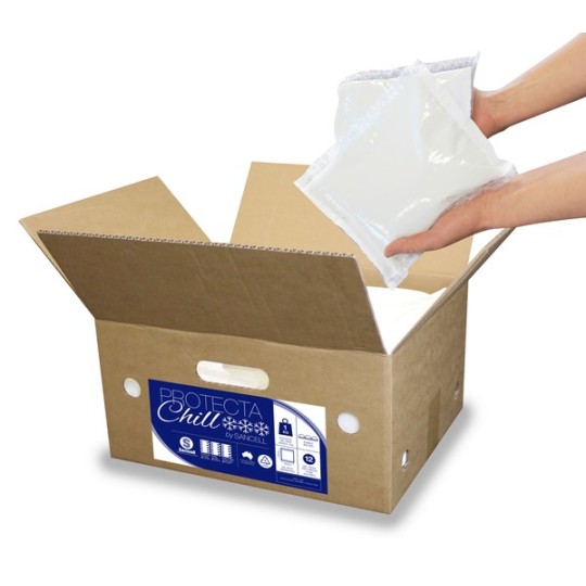 Ice Pack for Transportation | Lollies Party Supplies