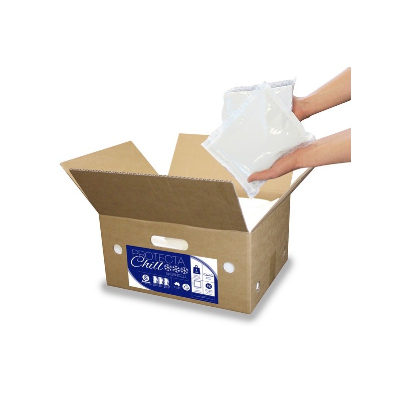 Ice Pack for Transportation | Lollies Party Supplies