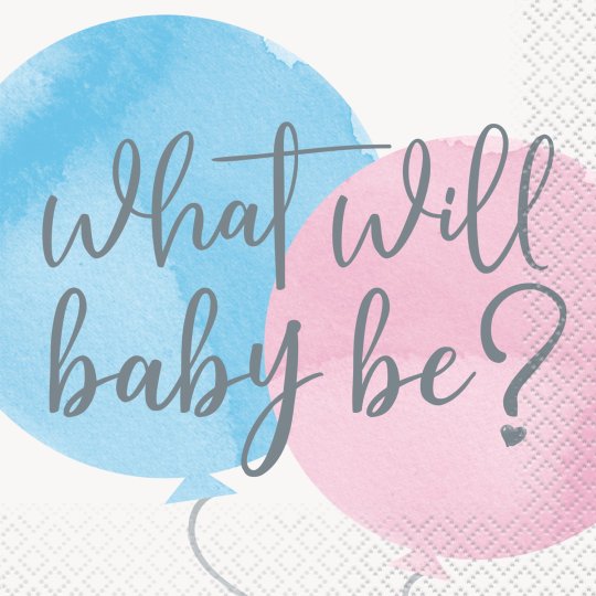 Gender Reveal Baby Shower Small Napkins (Pack of 16) | Gender Reveal