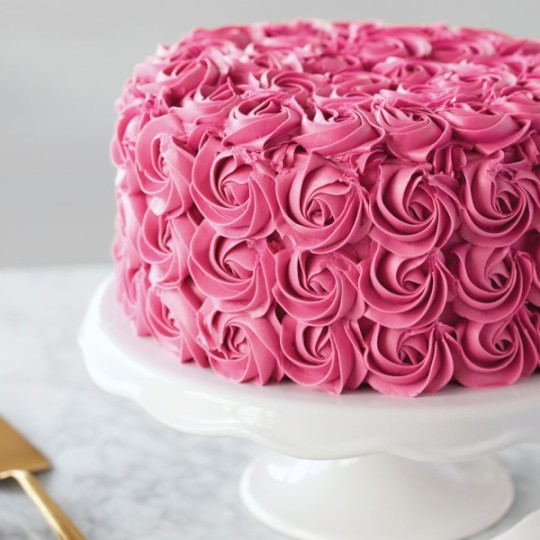 Wilton Rose Icing Colour 1oz