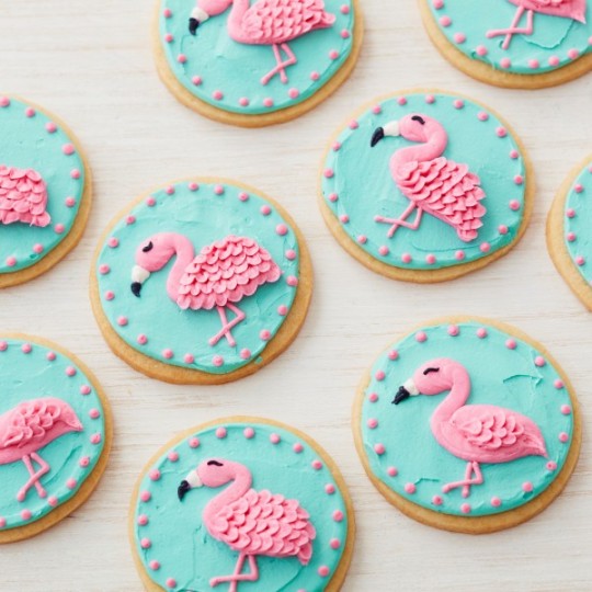 Wilton Teal Icing Colour 1oz