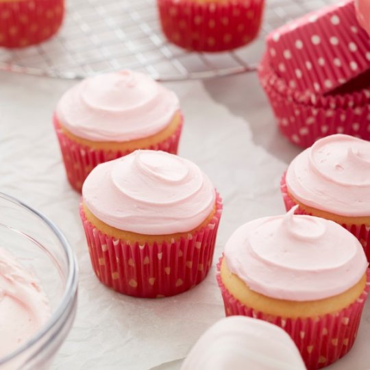 Wilton Pink Icing Colour 1oz