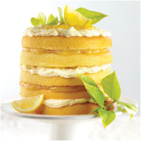 Wilton 5 Layer Cake Pan Set