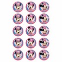 Minnie Mouse Cupcake Icing Decorations (Pack of 15)