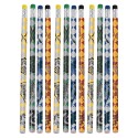 Harry Potter Pencils (Pack of 12)