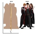 Lifesize Harry Potter & Friends Cardboard Cutout