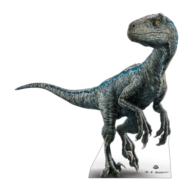 Lifesize Blue Raptor Jurassic World Cardboard Cutout