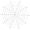 Giant 1.5m Rope Spider Web