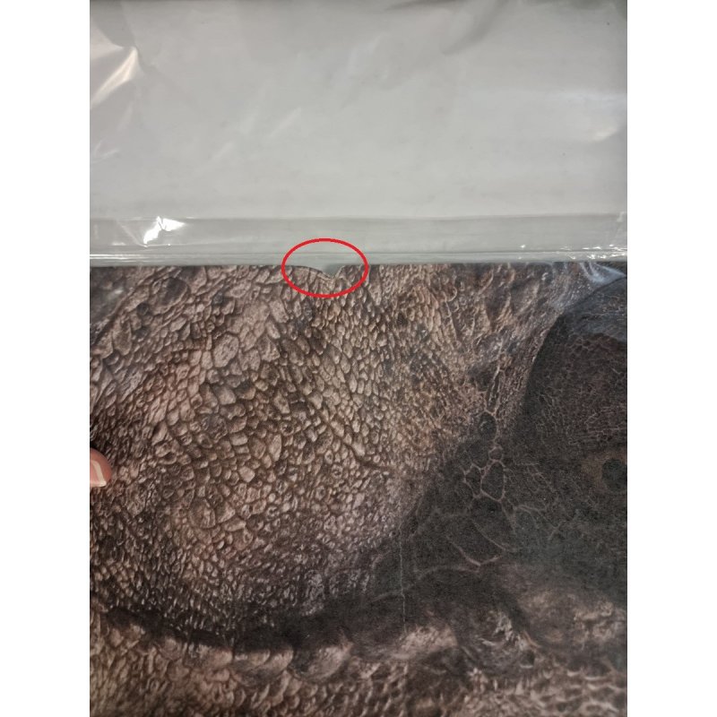 Lifesize Jurassic World T-Rex Cardboard Cutout | Dinosaur Party Supplies | Jurassic Park Party Supplies