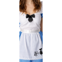 Adult Alice in Wonderland Classic Costume