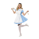 Traditional Alice Womens Costume