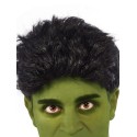 Avengers Mens Hulk Wig