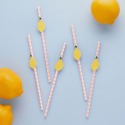 Summer Picnic Lemon Paper Straws (Pack of 20)