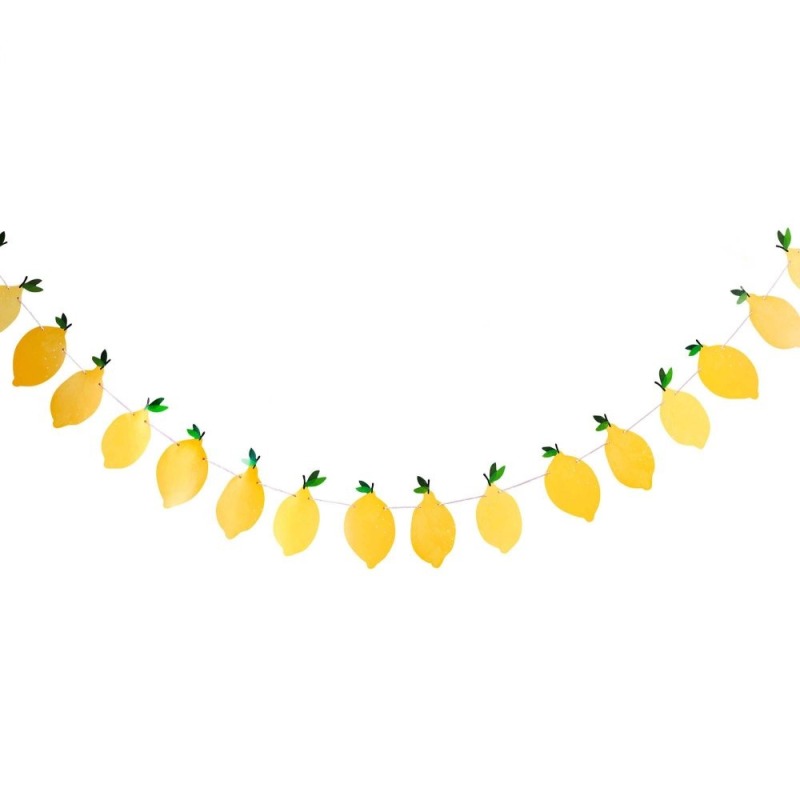 Summer Picnic Lemon Garland Banner