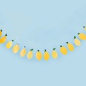 Summer Picnic Lemon Garland Banner