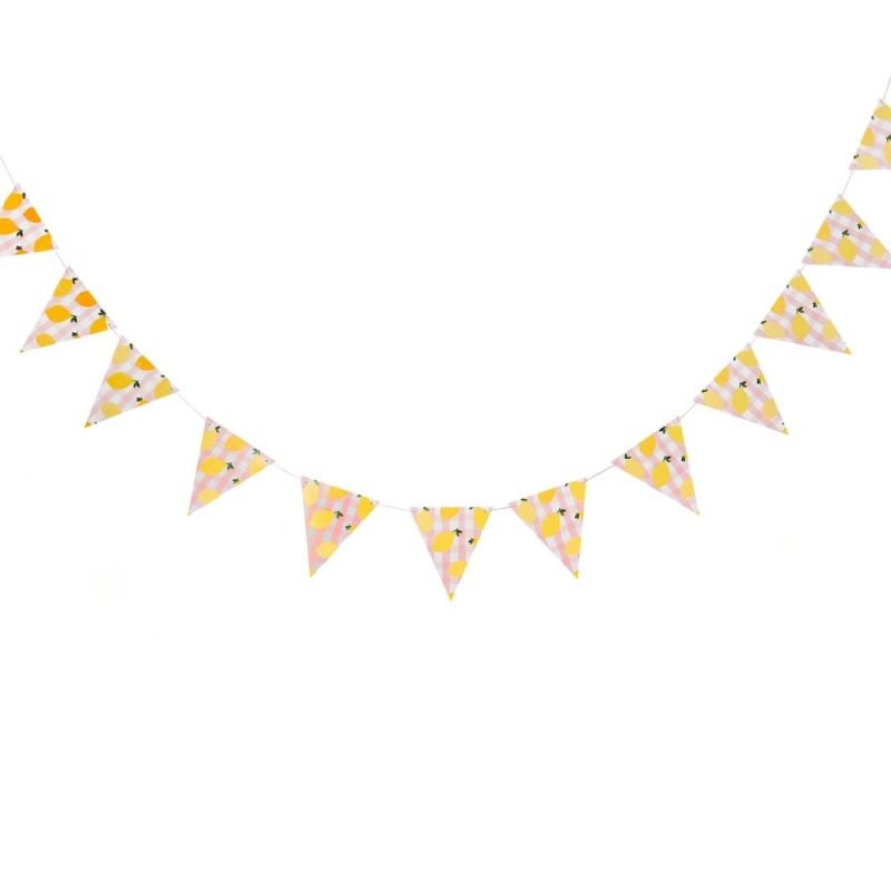 Summer Picnic Lemon Flag Bunting Banner 2.5m