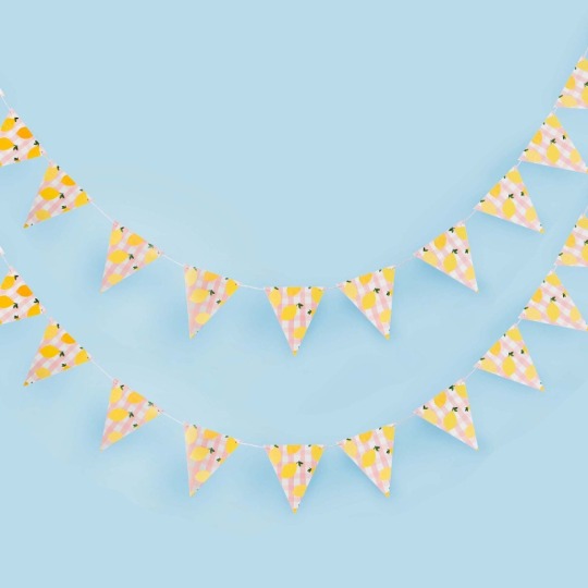 Summer Picnic Lemon Flag Bunting Banner 2.5m
