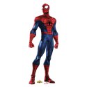 Spiderman Stand Up Photo Prop | Spiderman
