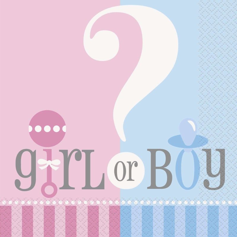 Gender Reveal Baby Shower Large Napkins (Pack of 20) | Discontinued