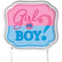 Gender Reveal Cake Topper | Gender Reveal Party Supplies