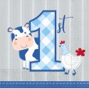 Blue Farmhouse 1st Birthday Small Napkins (Pack of 16) | Blue Farm 1st Birthday Party Supplies