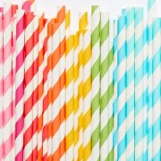 Paper Straws